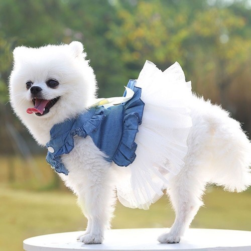 Puppy Dog Clothes Female Dog Cat Dress Spring Summer Princess Dress Bowknot Pet - Picture 11 of 26
