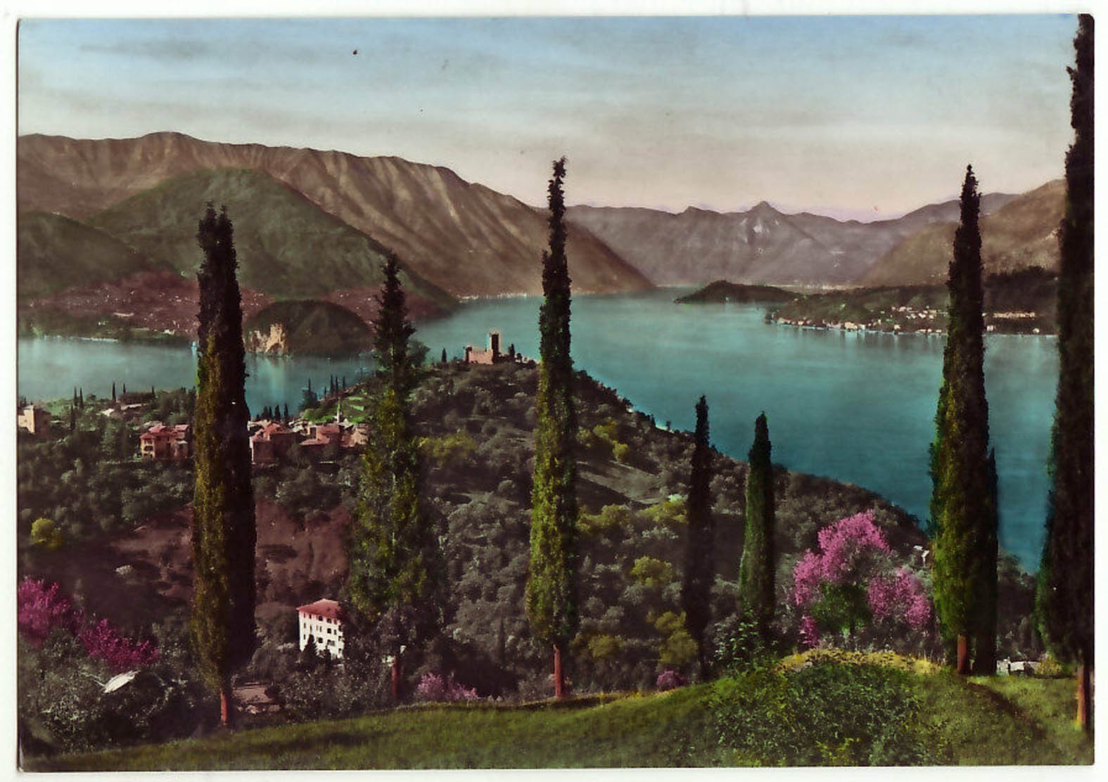 VEZIO - LECCO - CIPRESSI DI CASTEL VEZIO -28998-