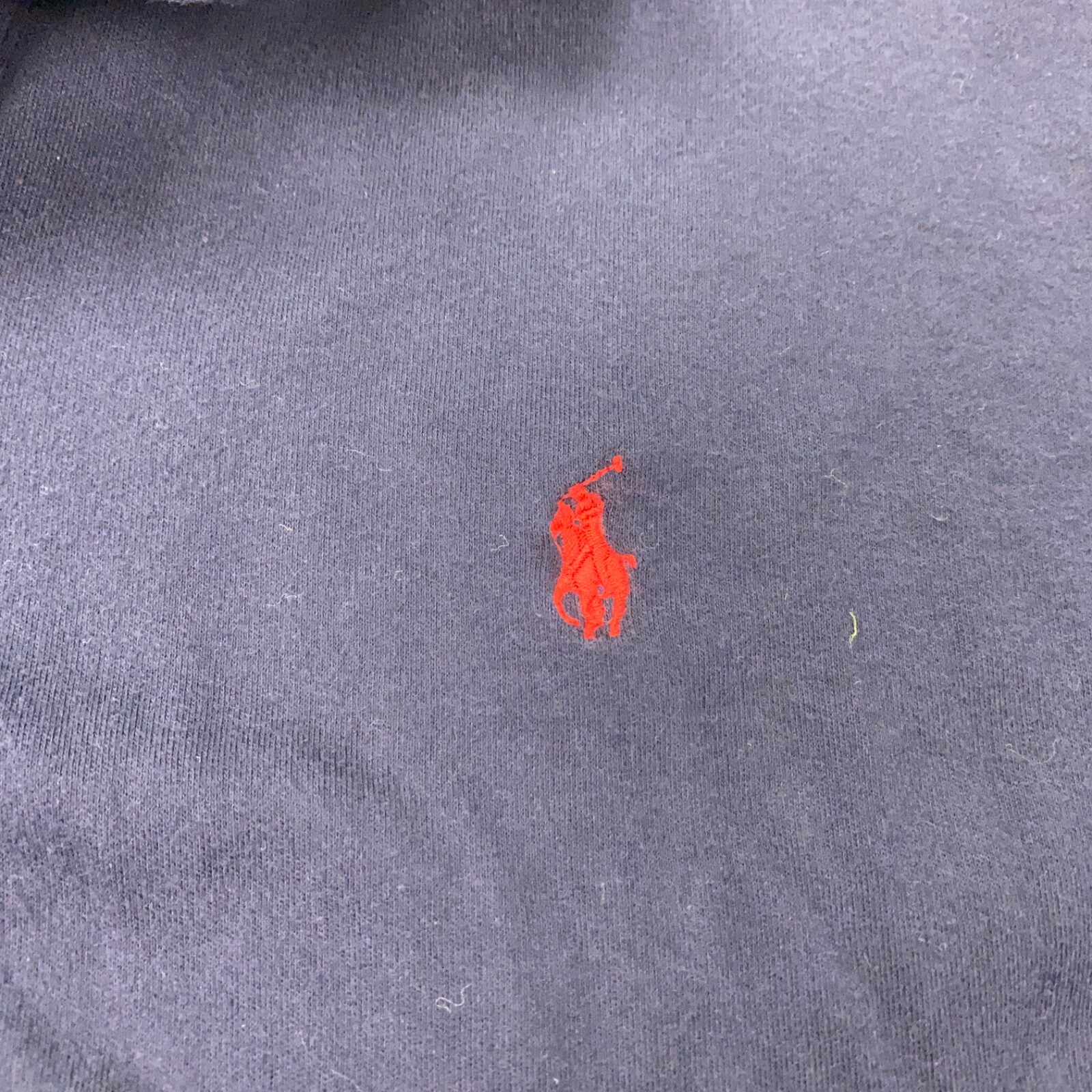 Polo Ralph Lauren Camicia Uomo Large Blu Maniche Lunghe Pony