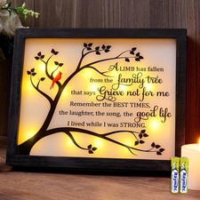 LED Memorial Shadow Box Sympathy Gift for Loss of Loved One Fallen Limb