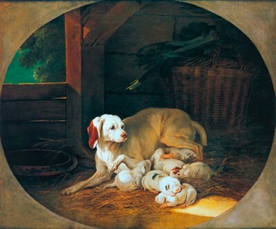 BITCH NURSING HER PUPPIES DOG FRENCH PAINTING  BY JEAN BAPTISTE OUDRY REPRO 