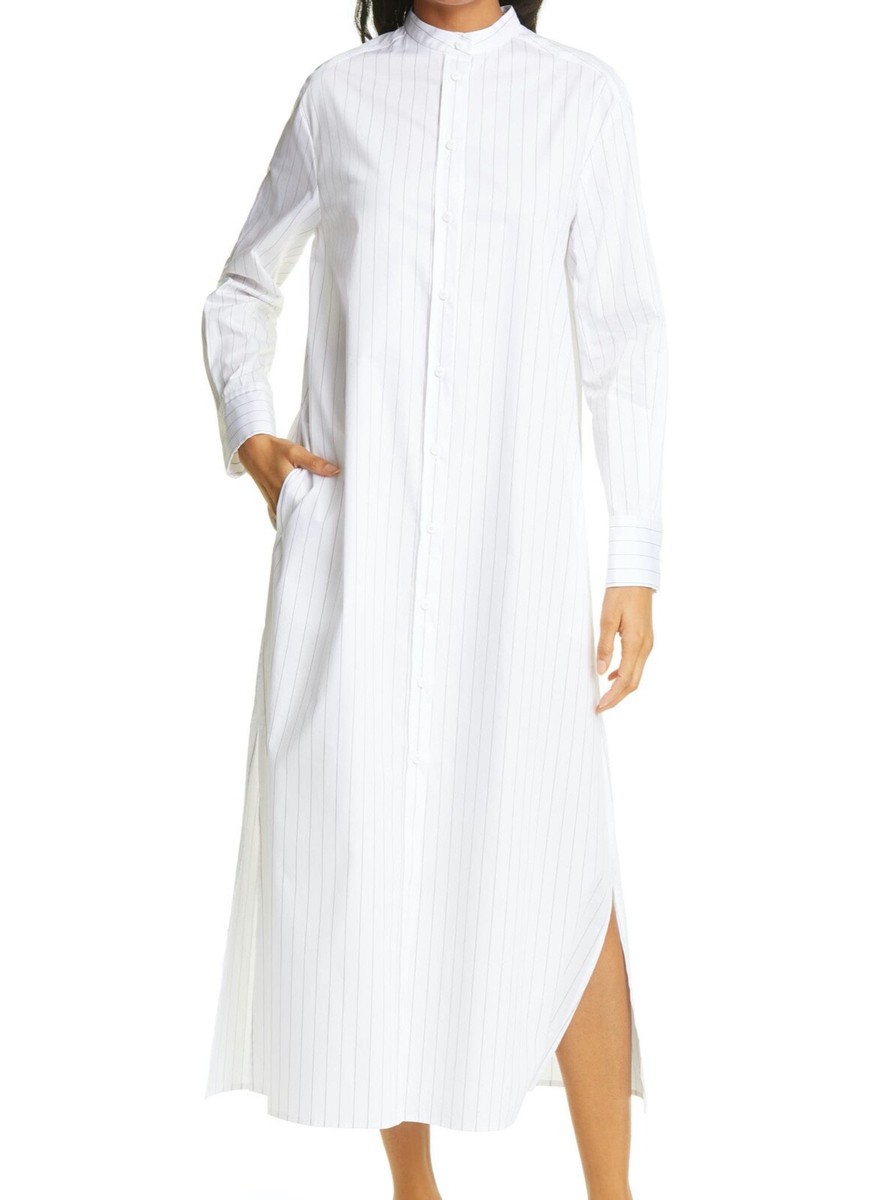 Max Mara Leisure Ussuri Pinstripe Cotton Poplin Shirt Dress