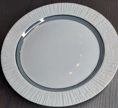 Thomas Porzellan Arcta Platinrand Graulüster Kuchenteller Teller 19 cm