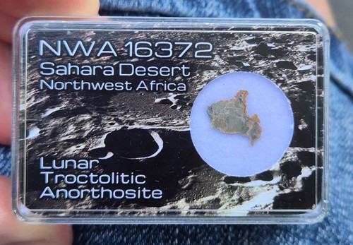 NWA 16372 RARE Lunar Troctolitic Anorthosite Meteorite Fragment - Picture 5 of 5