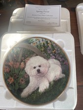 4 x Danbury Mint  Bishon Frise plates with 22 ct gold rims. Never been out  box