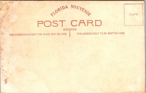 c1905 Feeding Ostriches, Ostrich Farm, Jacksonville, FL, antique unposted - Picture 2 of 2