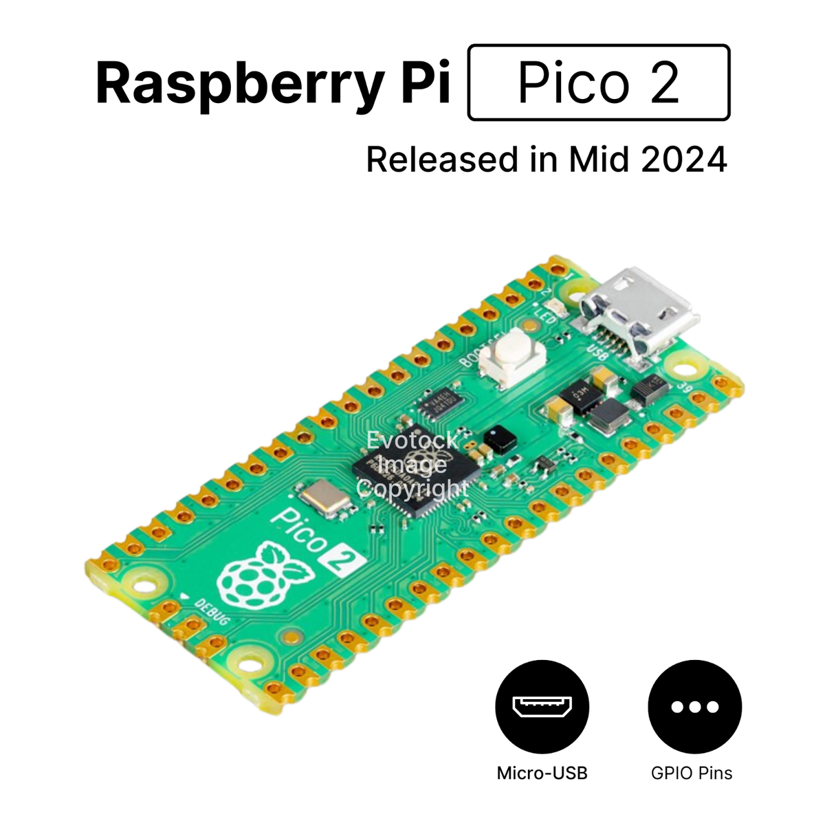 Scheda Raspberry Png Corteccia Di Pino Raspberry Pi Pico 2 Scheda Di Sviluppo ...