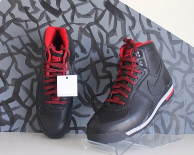 jordan acg