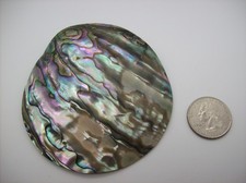 Vintage Huge Mother Of Pearl Abalone Shell Belt Buckle Cinch, has FLAWS