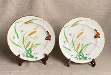 Antique Pair c1870 Minton Finely Painted Botanical Plates Aesthetic Movement