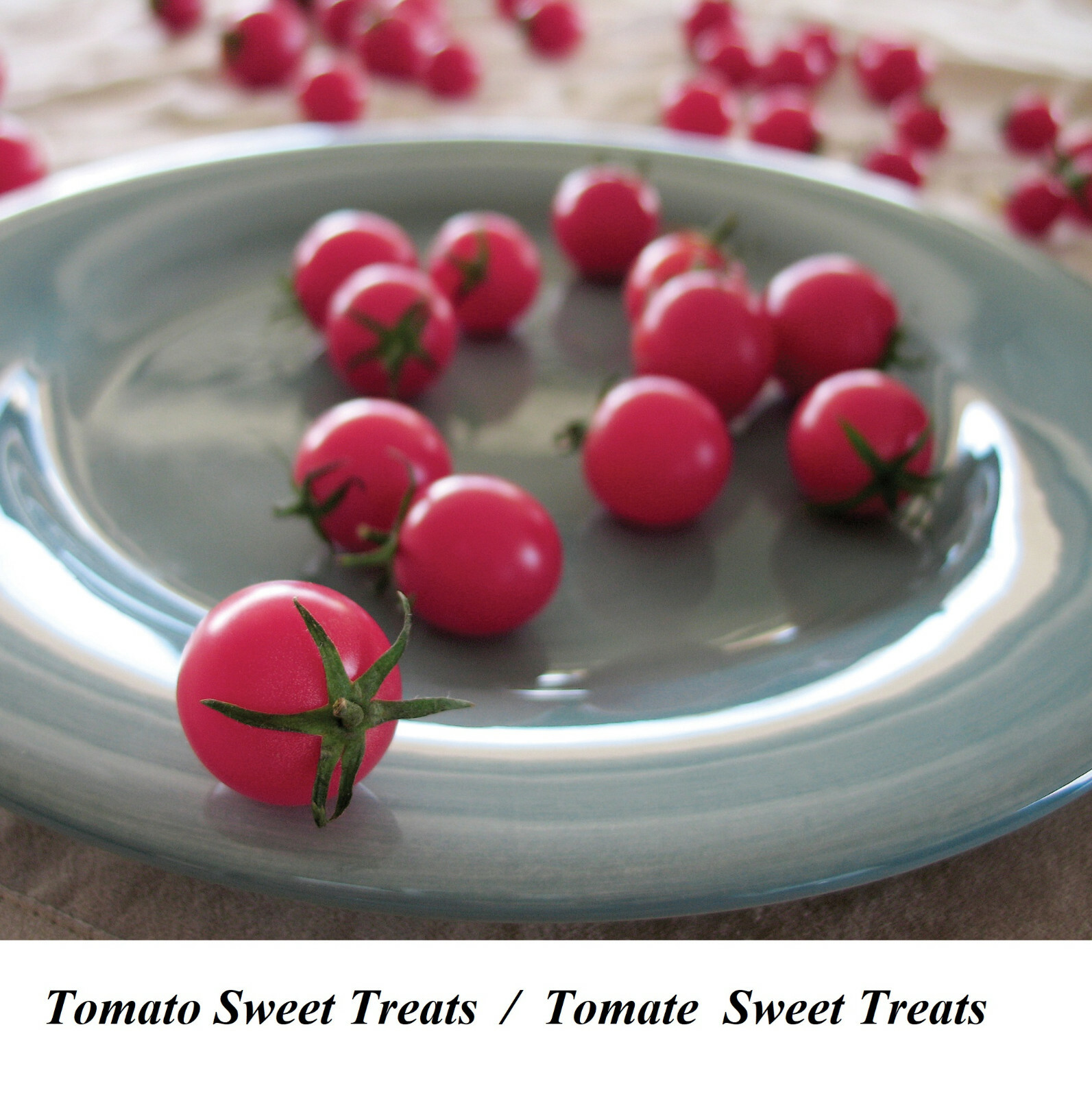Seeds Tomato Cherry SWEET TREATS Tomate 25 Gr TOP Very JUICY TASTY NO ...