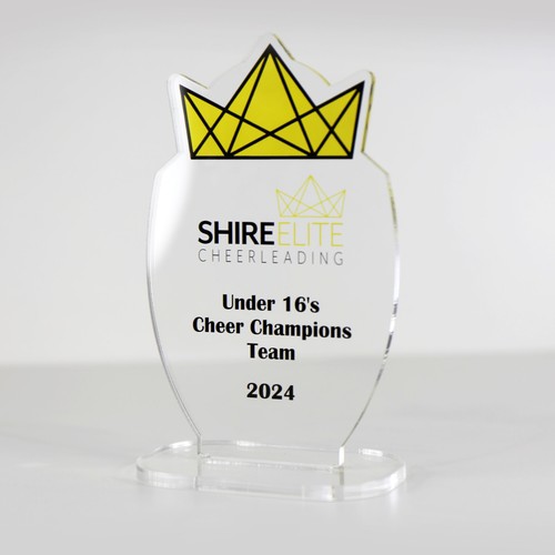ACRYLIC COLOUR TROPHY AWARD CUSTOM DESIGNED FOR CHEERLEADING ACHIEVEMENT - Foto 1 di 3
