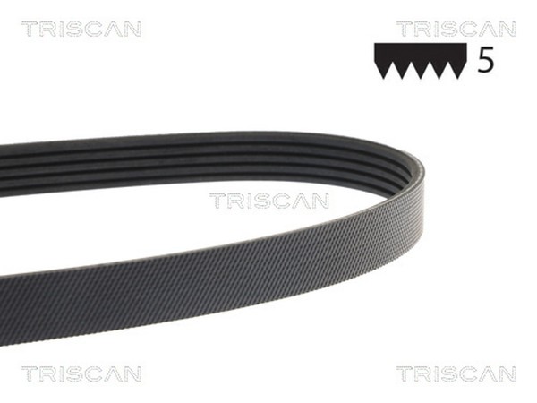 Keilrippenriemen Triscan 8640 501063 FüR Mazda Audi Mitsubishi VW Fiat Lancer A3-image