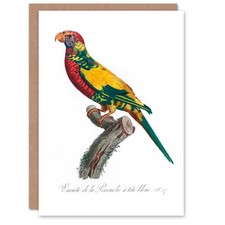 Francois Levaillant Art Card The Rainbow Lorikeet Parrot