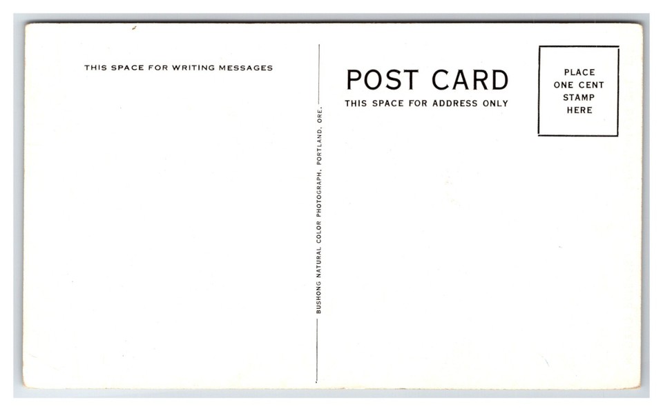 The Death Traps Seaside Oregon OR UNP Chrome Postcard T21 eBay