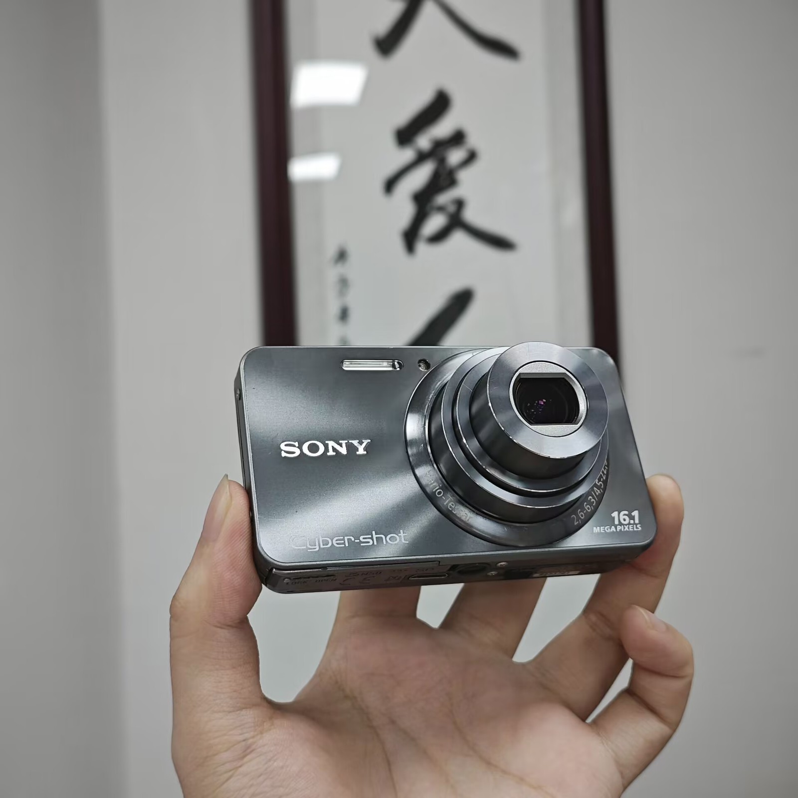 SONY Cyber-shot DSC-W570 Silver Digital Camera 16.1 MP 5x Optical Zoom English