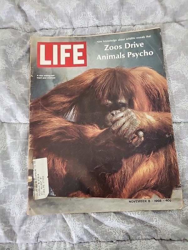 Life Magazine November 8th, 1968 (VERY Hard-to-find Changed Cover Issue!!!)