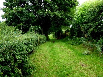 Foto 6x4 Spur, Relaghdooey Blackfort Ein leichter Richtungswechsel vor dem c2017
