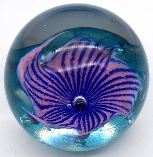 Mundgeblasene Caithness Schottland Petunien Kunst Glas Briefbeschwerer Blume signiert & # - Bild 4 von 13