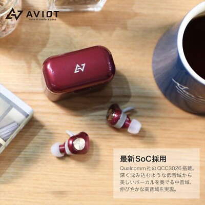 AVIOT TE-D01d Bluetooth Earphone Perfect Wireless Black Japan NEW