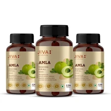 Jiva Amla Tablets 500mg 360 Tablet | 100% Pure Herbs Used, Rich In Vitamin C |