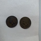 USA 1889 & 1906 Indian Head One Cent Coins