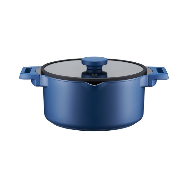 Topf Mit Deckel Kochtopf Suppentopf Universaltopf GemüSetopf Induktion 20 Cm-image