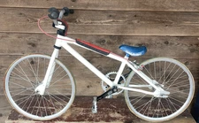 Powerlite Mini Micro 16-1/4" Frame Ultra BMX Bike, Suzue Hubs, Royal Gran Compe