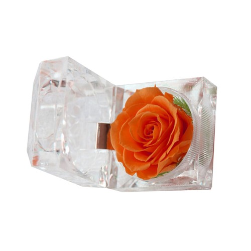 Preserved Flower Eternity Never Withered Gift for Valentine's Day - Foto 8 di 10