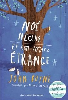 Noé Nectar et son voyage étrange von Boyne,John | Buch | Zustand gut