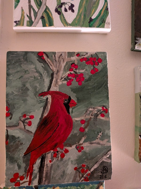 A CARDINAL ON A BERRY BUSH