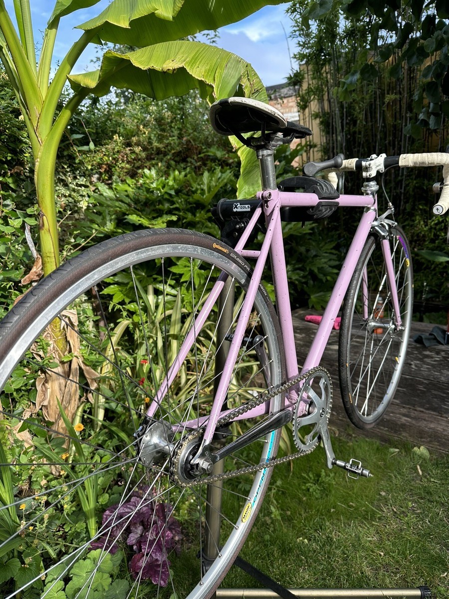 Condor Classico Pink 46cm *Read Description* UK