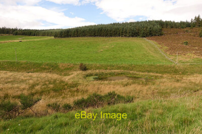 Photo 12x8 Pond in Glen Conrie It looks as if the pond has been give a hel c2021