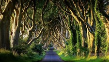 Landscape nature far view trees plants grass fence Custom Gaming Mat Desk