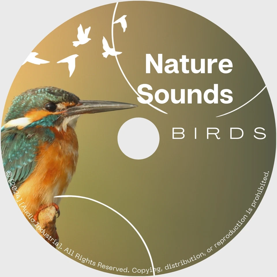 Nature Sounds CD Birds CD Bird Song Sounds Special FX Foley FREE UK P&P - NEW Foto 3 de 4