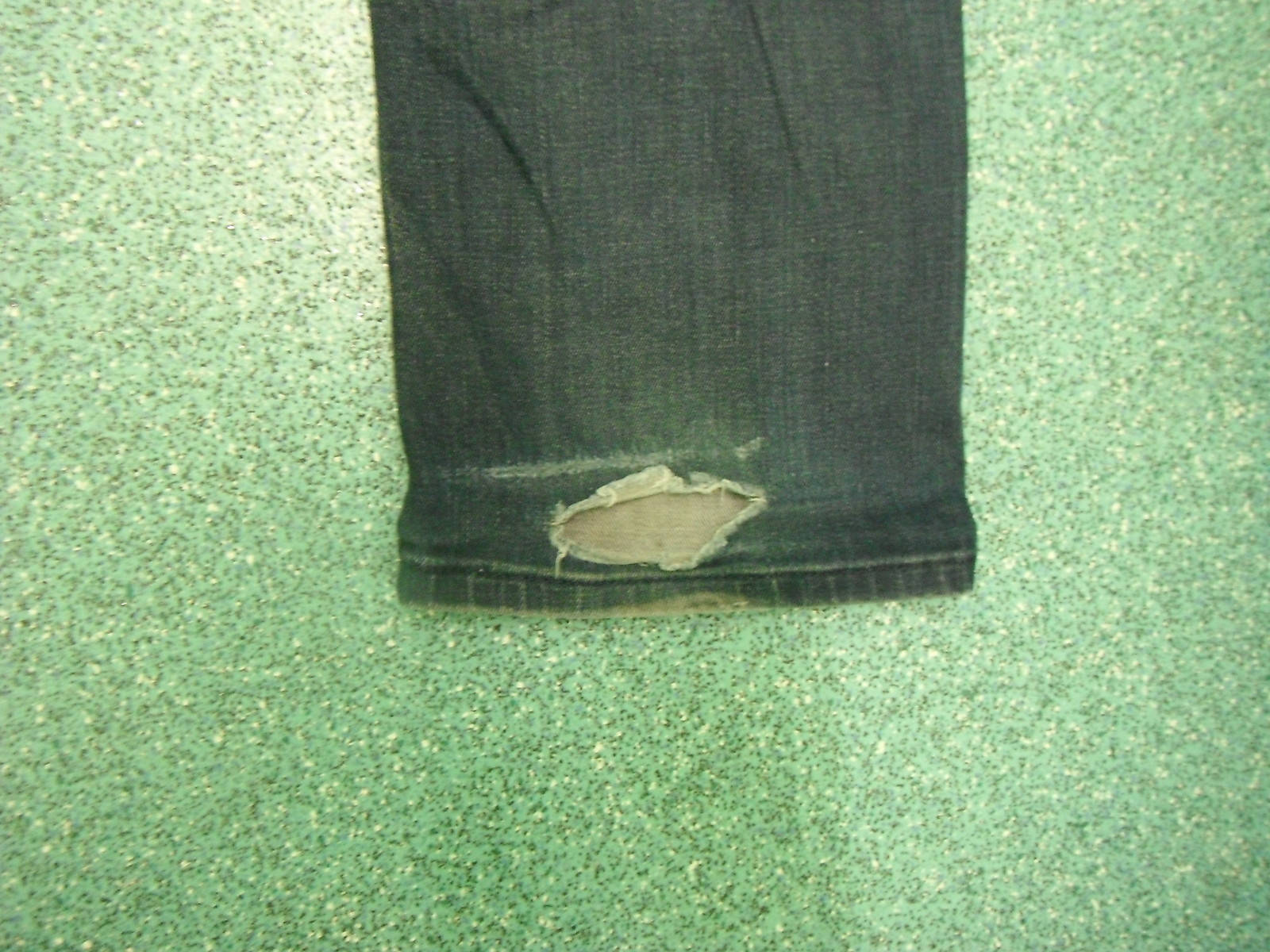 Picture 4 of 6