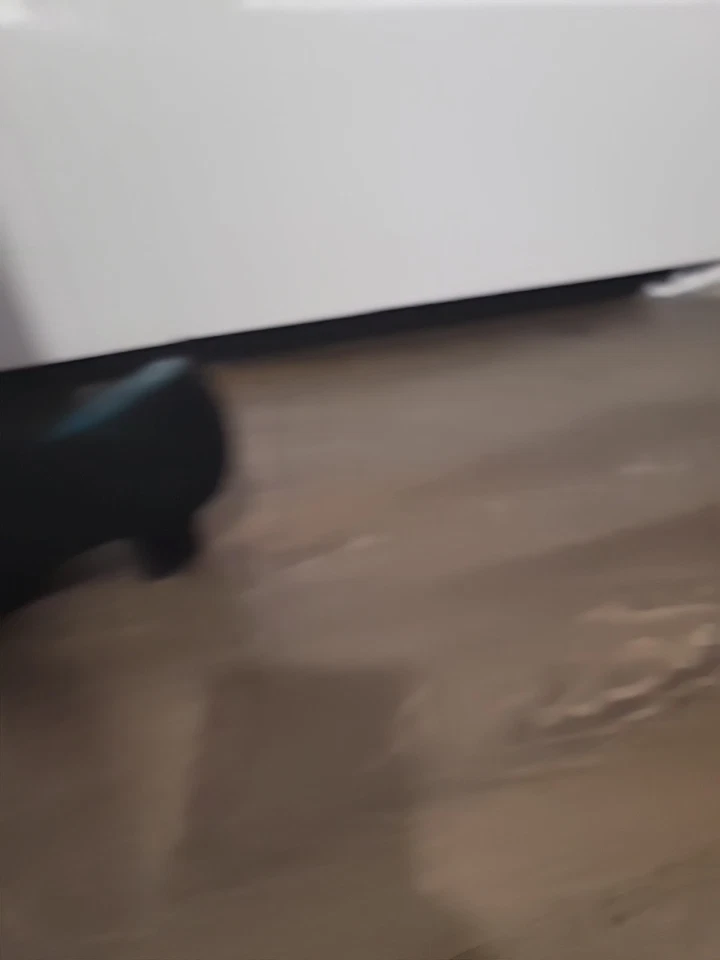 Zapatos de salón Thierry Rabotin Rory negros talla 39 estilo cuello Foto 2 de 4