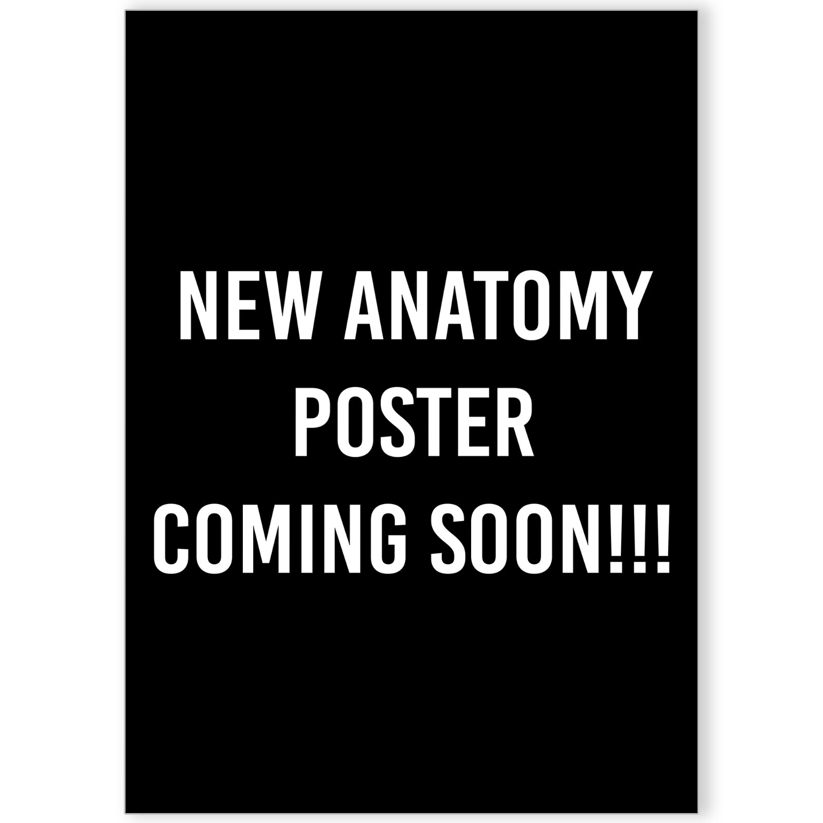 HUMAN ANATOMY EDUCATIONAL STUDENT MEDICAL LIFE POSTER PRINTS Biology Diagrams
