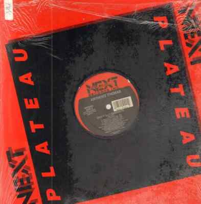 Anthony Thomas Dont Say Goodbye Vinyl Single 12inch NEAR MINT Next Plateau