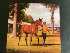 RIVA RIDGE 4 PHOTOS LOT Horse Racing  1972 Kentucky Derby