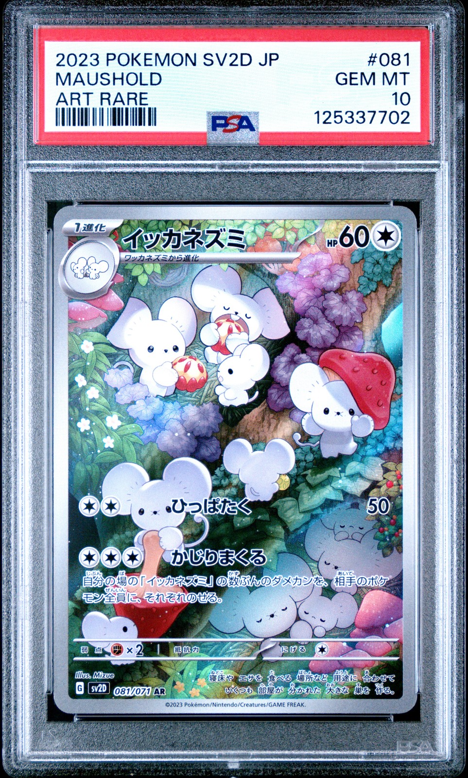 2023 POKEMON JPN SV2D-CLAY BURST ART RARE #081 MAUSHOLD PSA 10