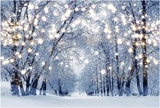 Funnytree 7x5ft Winter Scene Backdrop Wonderland Snowflake 7'x5', Forest 1