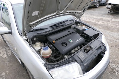 Skoda Fabia 6Y Krümmer Abgaskrümmer 1,4 MPI 047253031G ARV AQV AZE AZF