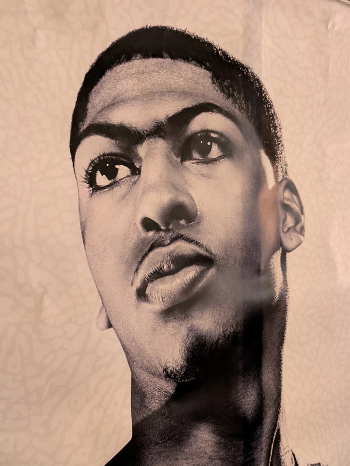 Cartel de refugio de autobús Anthony Davis Nike Chi-League Rise to Shine 48x68 en ENORME Foto 2 de 4