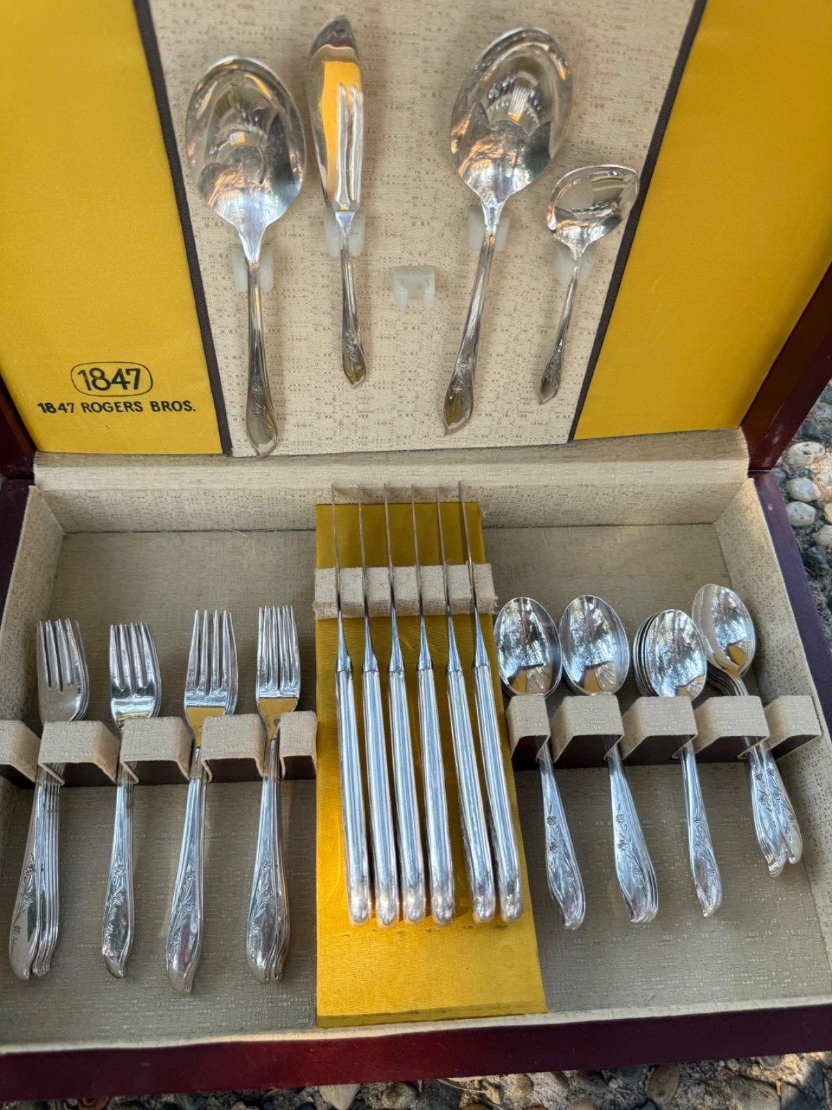 52pc Springtime 1847 Roger Bros. Silver-plate International NICE!