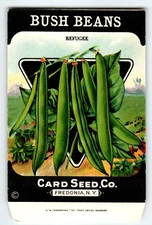 Refugee Bush Beans 1920's Card Seed Co Packet EMPTY Vintage Fredonia New York NY
