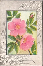 Vintage Postcard Swamp Rose Flower Artist Signed Reed Pub JV11