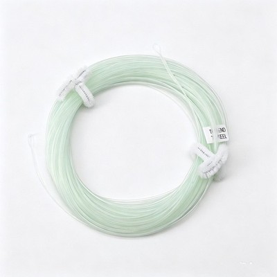 100 Fuß transparente langsam sinkende Fliegenschnur WF Serie mit Dual Loop Verb