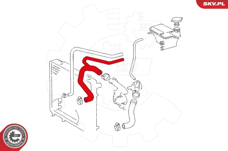 Fits SKV GERMANY 43SKV715 RADIATOR HOSE 43SKV715 / # 1217 MERCEDES-BE ⭐UK Stock⭐