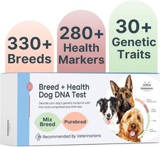 Dog DNA Testing Kit 330 Breeds 280 Health Risks  30 Traits Comprehensive Mixed